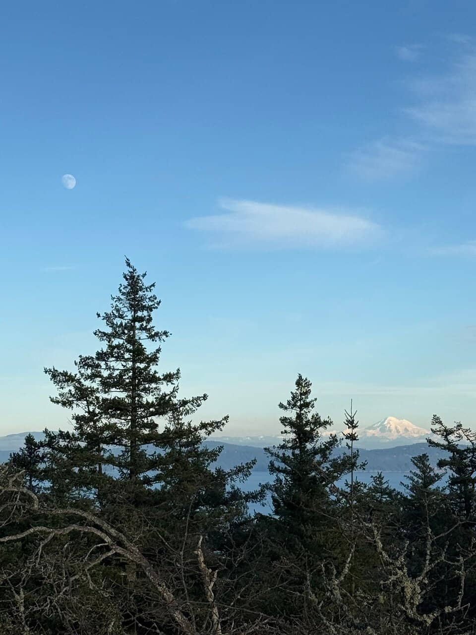 Diverse Trail Network