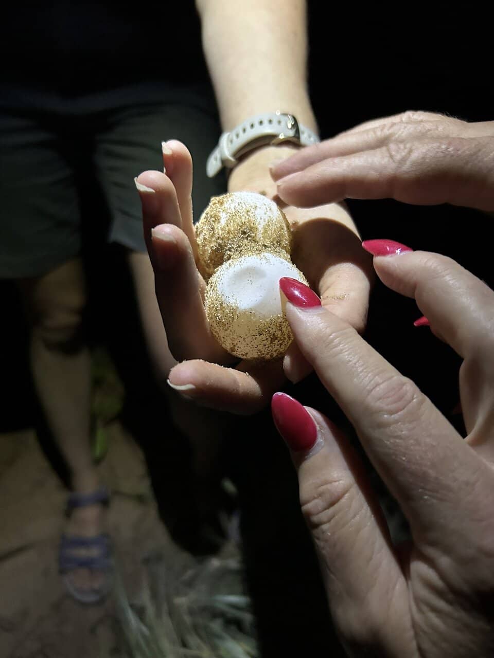 Celebrity & Artist Designs