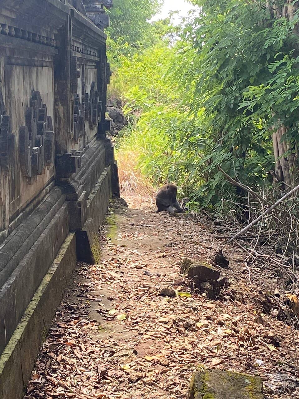 Iconic Pink Beach Views