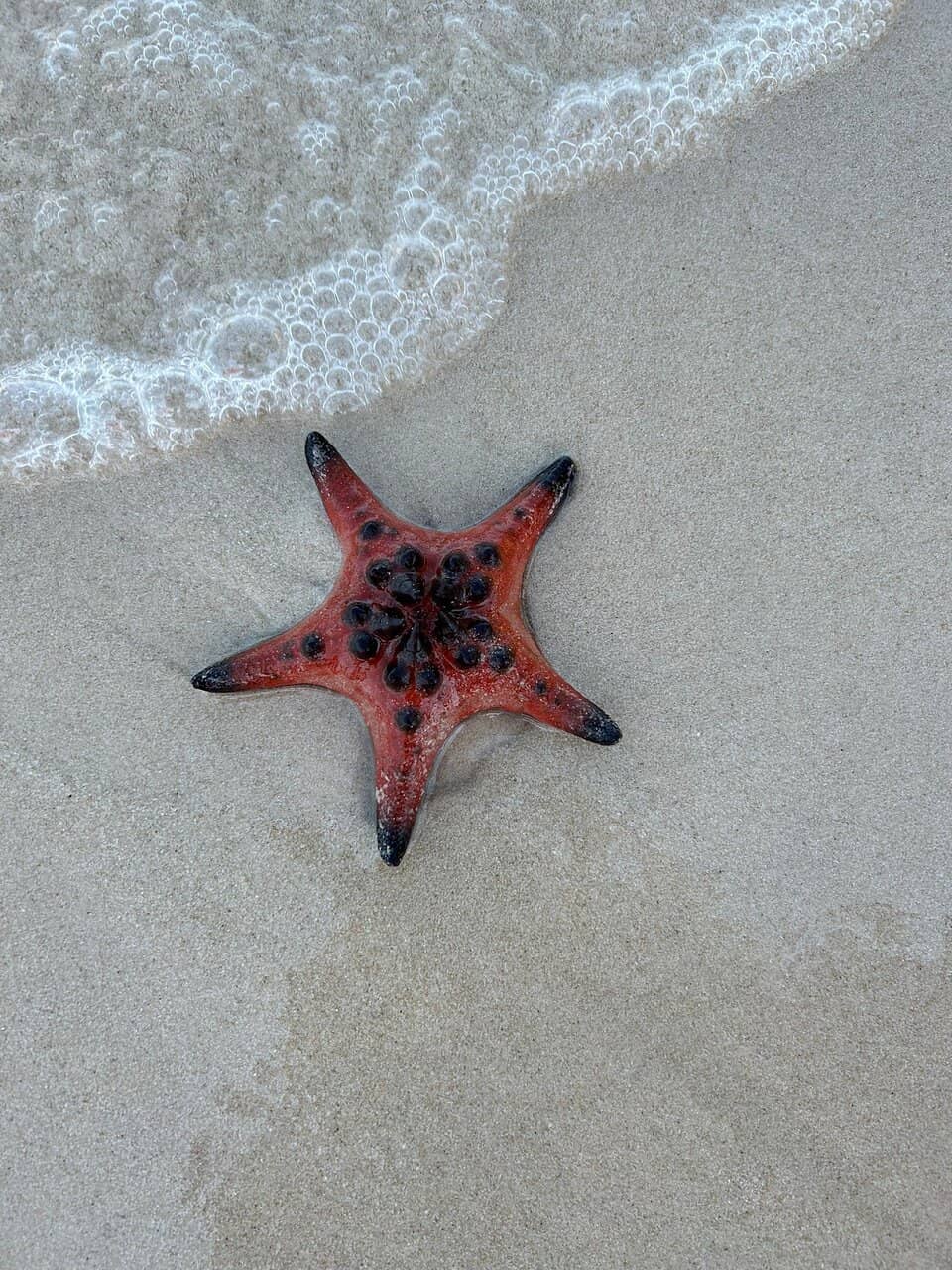 Floating Restaurants