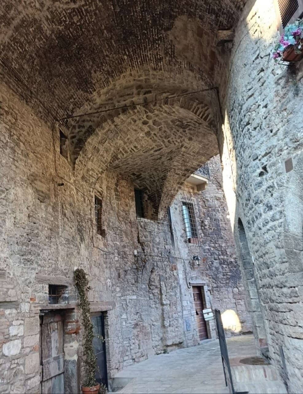 Christmas Markets & Ferris Wheel