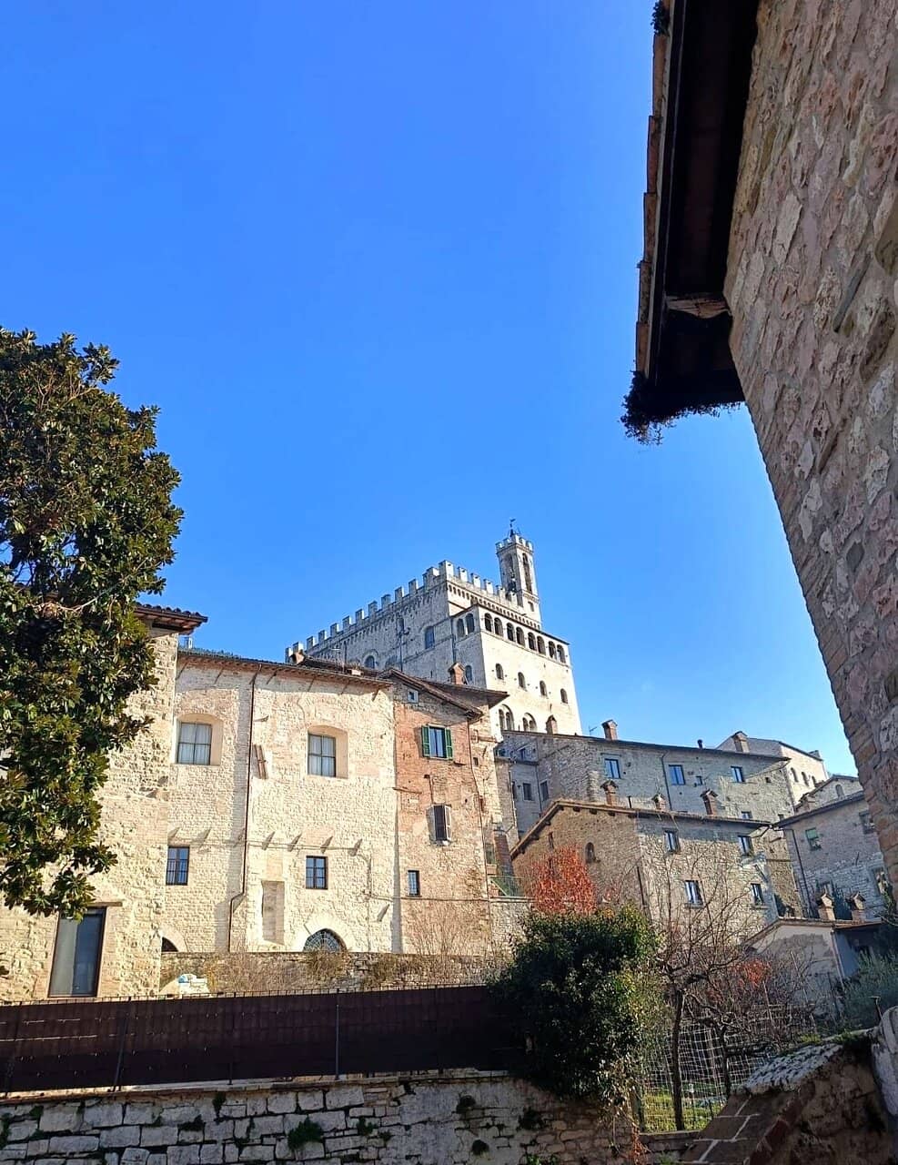 Tree Lighting Ceremony