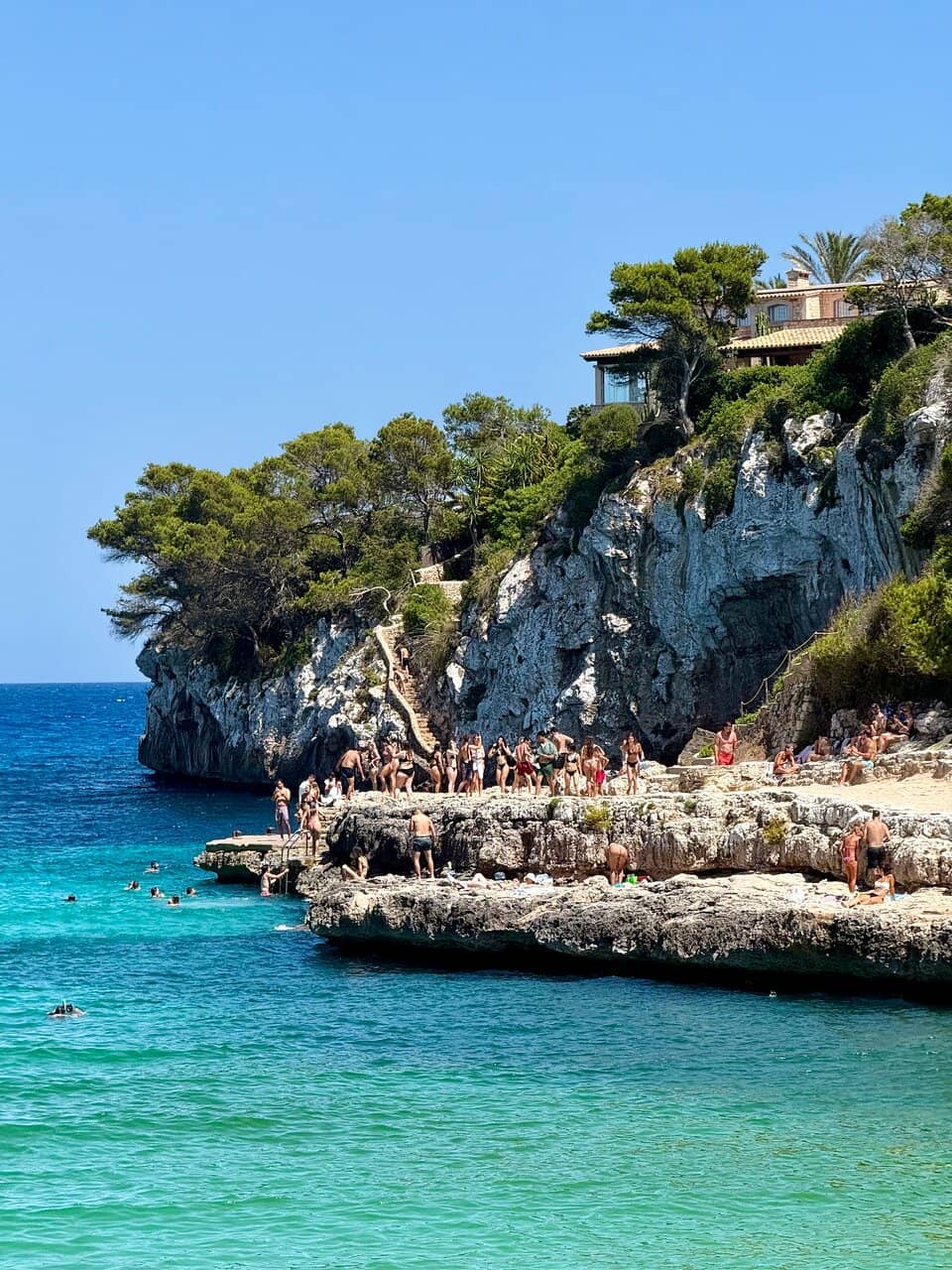 Vibrant Underwater World