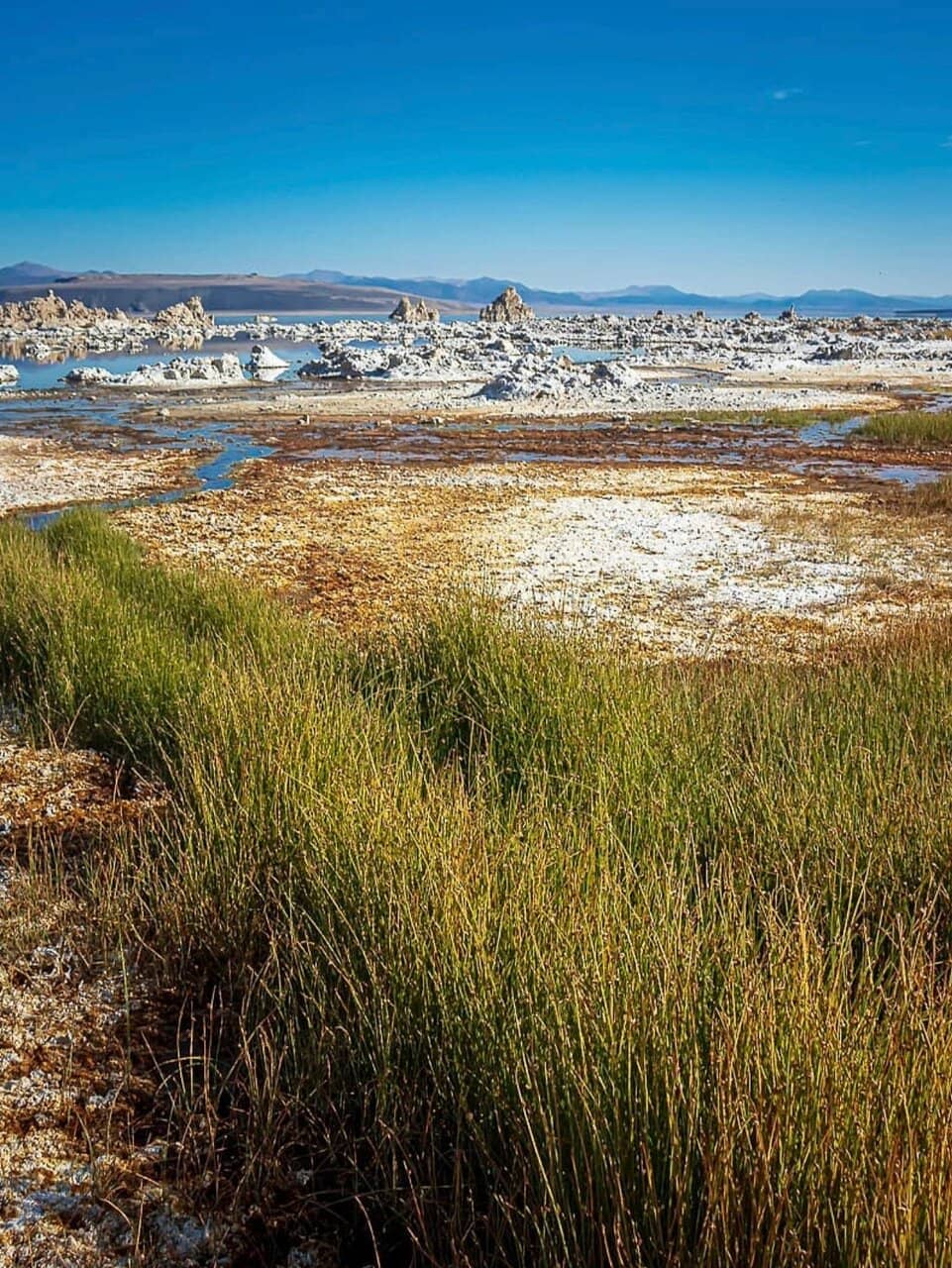 Sunrise/Sunset Views