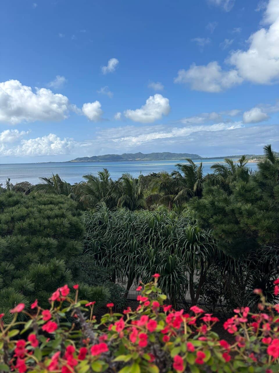 Traditional Ryukyu Houses