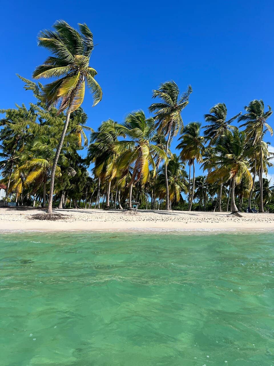 Secluded Island Vibe