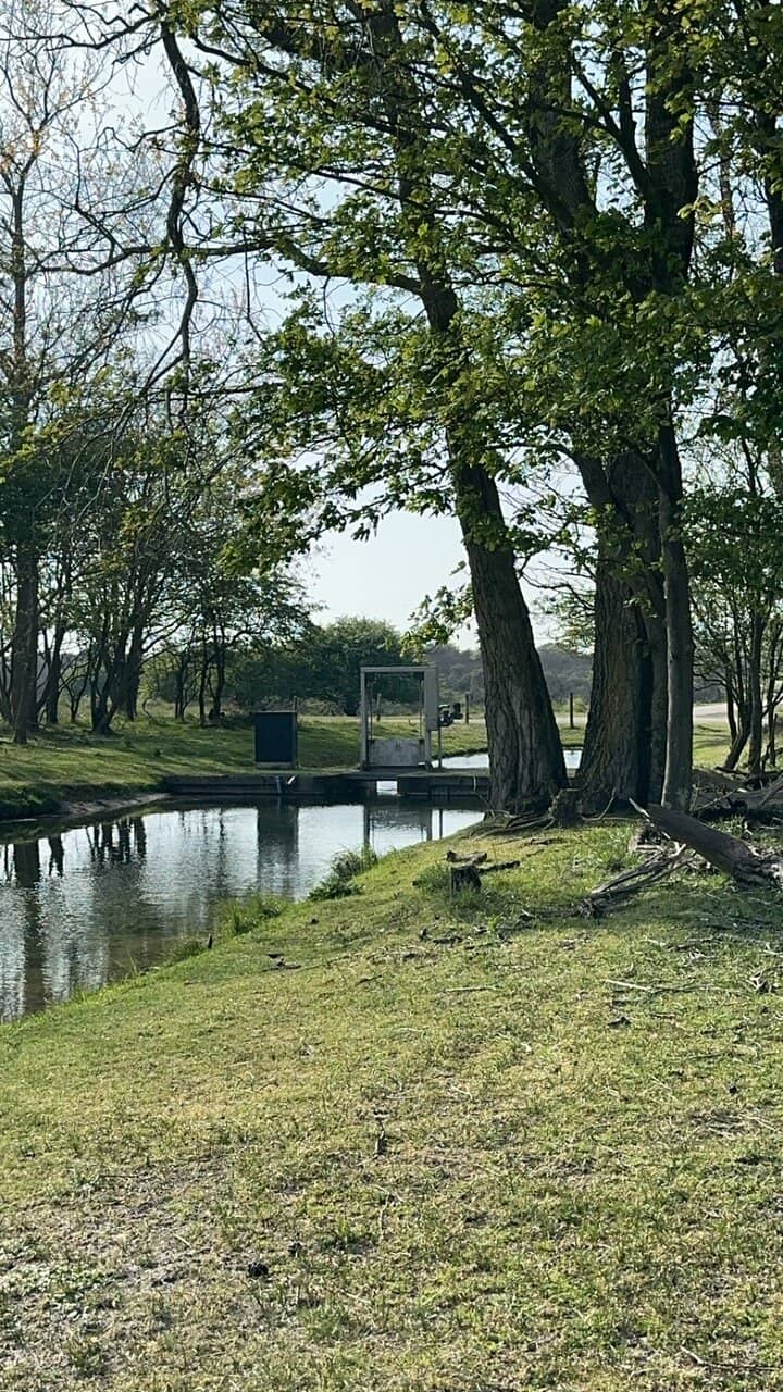 Visitor Center Insights