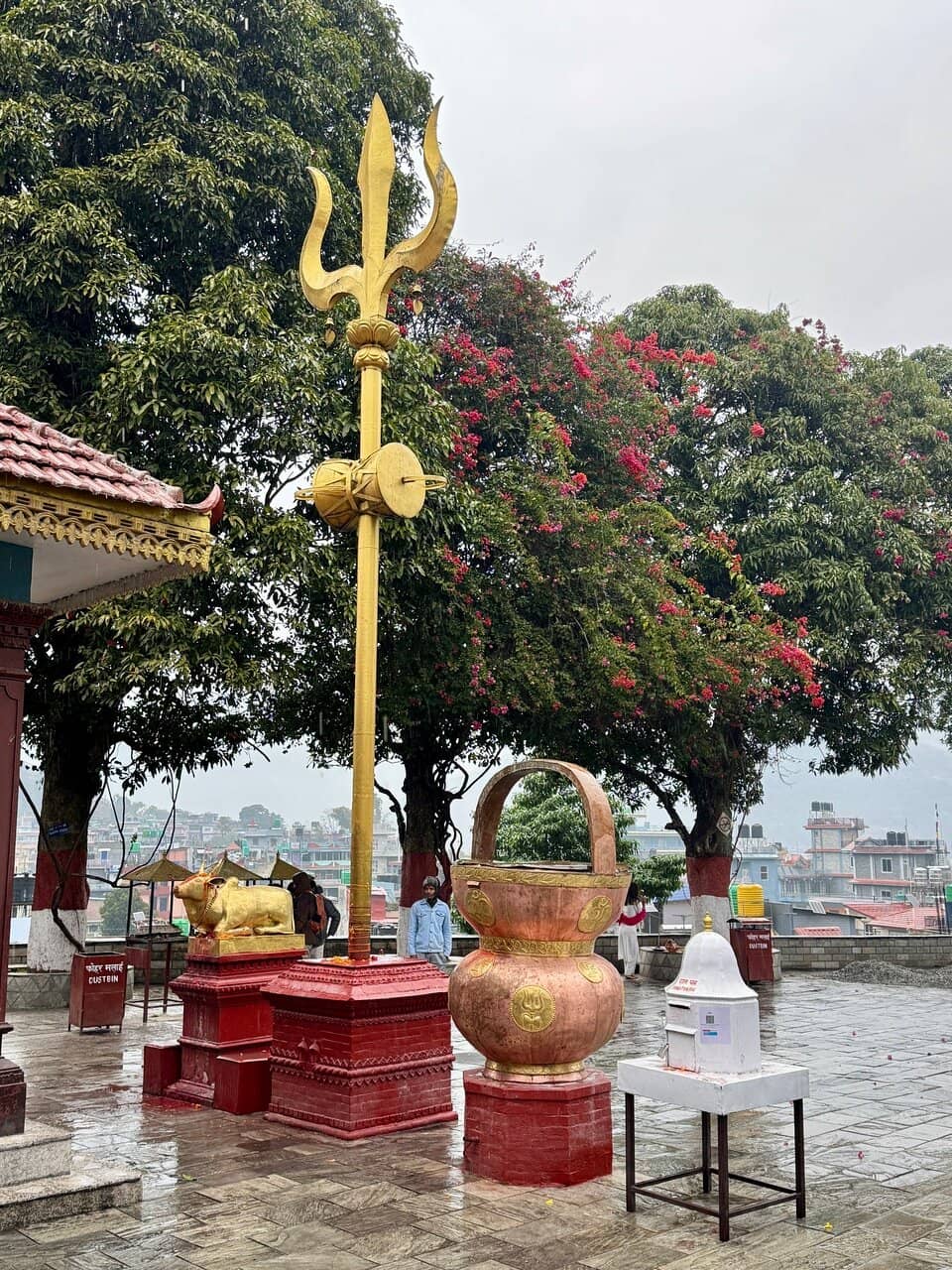 Panoramic Himalayan Views