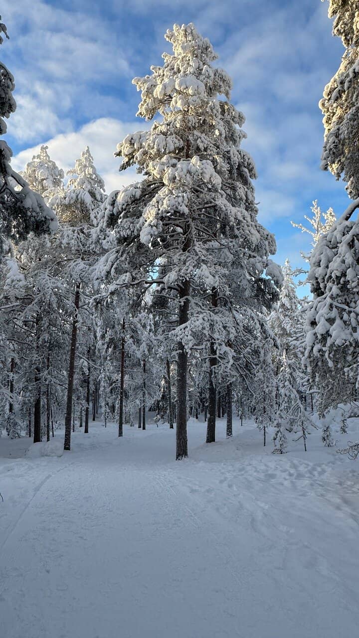 Summer Fatbiking Adventures