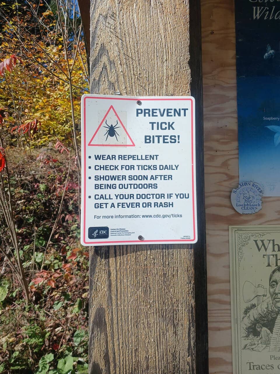 Sculpted Rock Formations