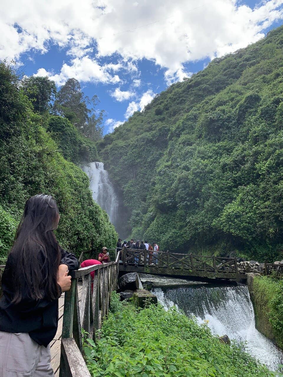 Lush Native Forest Hike