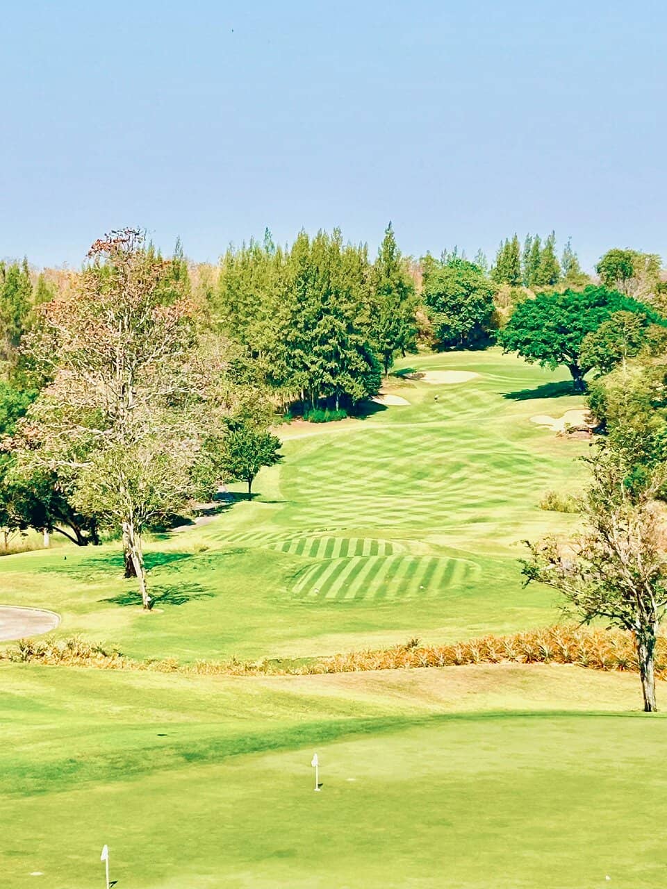 Stunning Hillside Layout