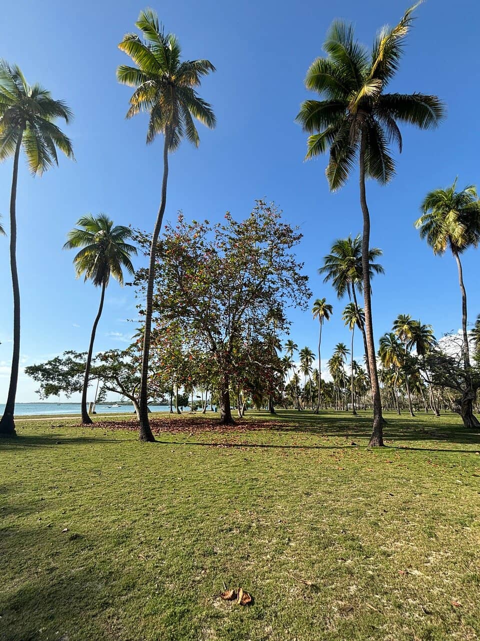 Calm Turquoise Waters