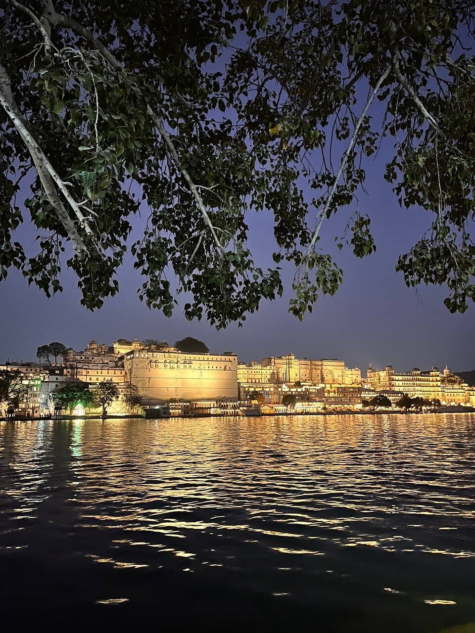 Panoramic Palace Views