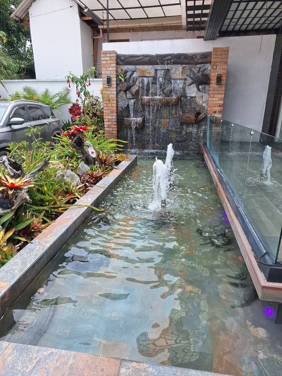 Vast Orchid Collections