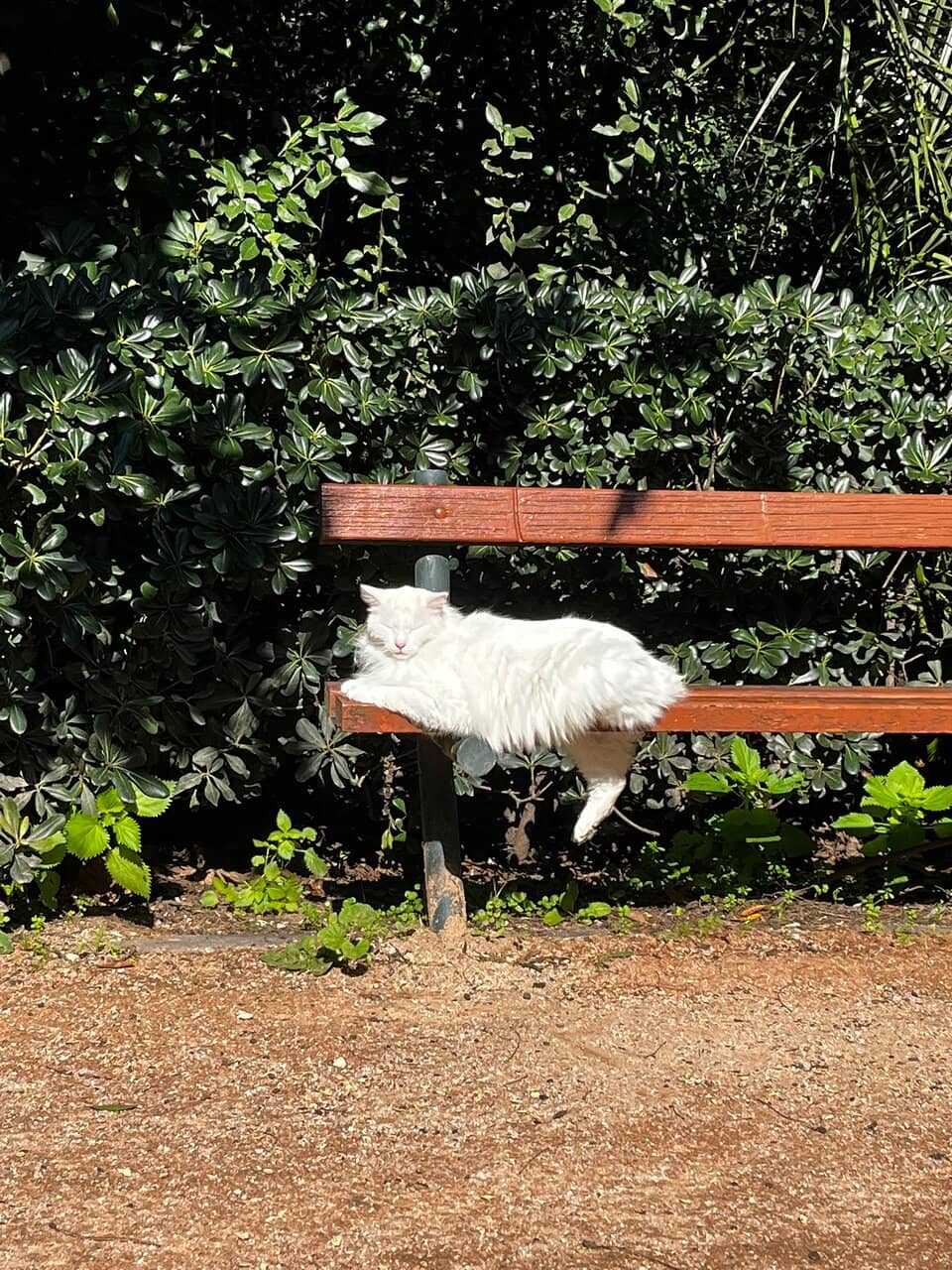 Cycle Paths & Greenery