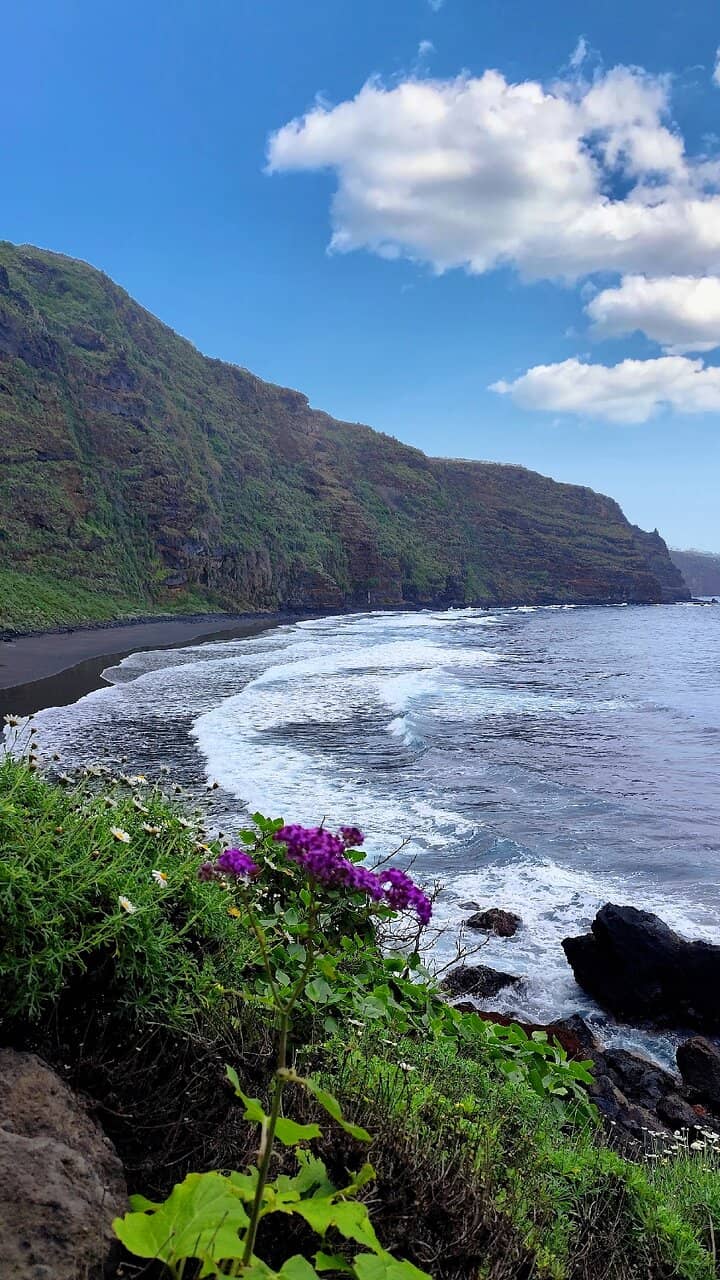 Scenic Cliffside Trail