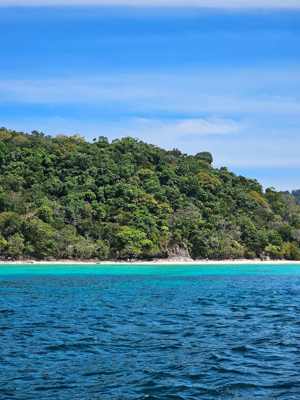 National Park Exploration