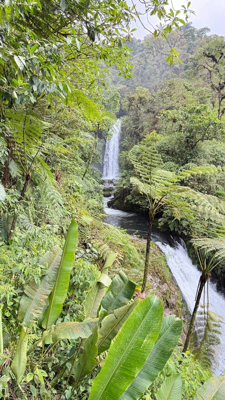 Wildlife Sanctuaries