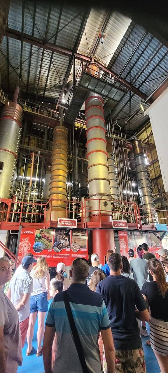 Rhum Tasting Experience