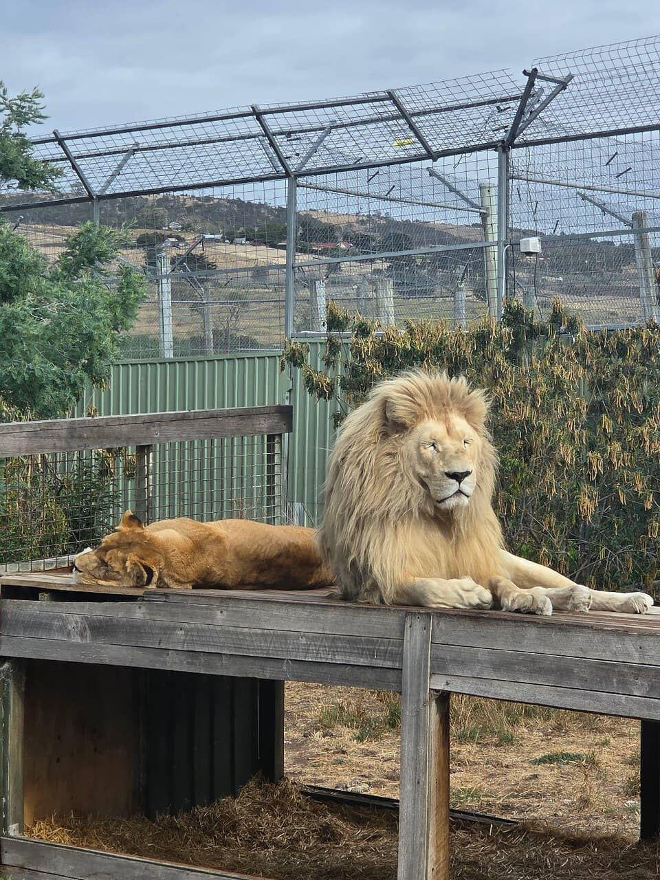 Friendly & Knowledgeable Guides