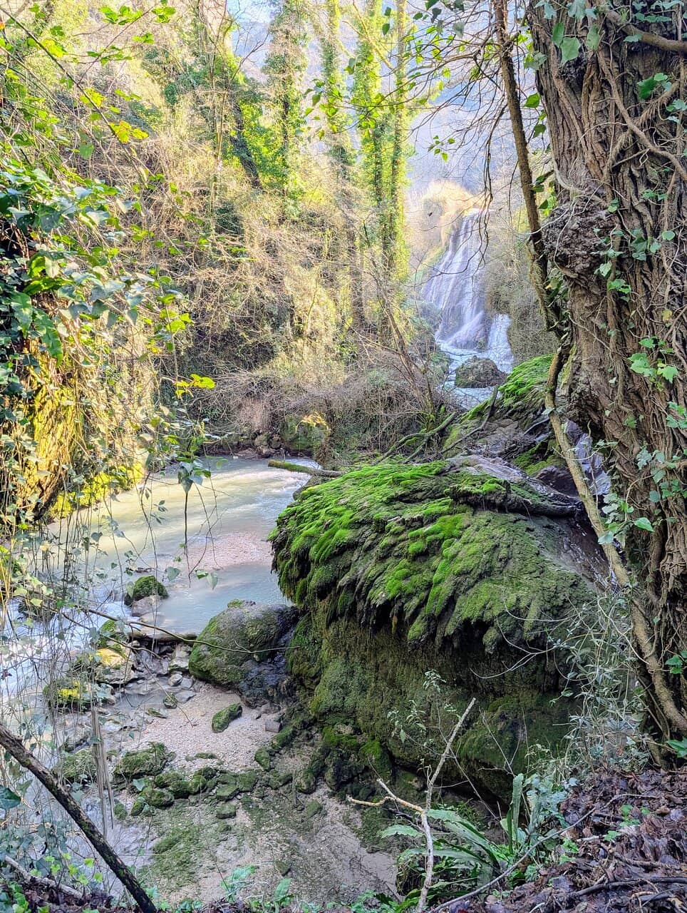 Rainbows in the Mist