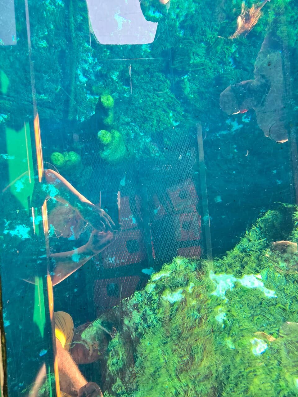 19th-Century Homestead Replica