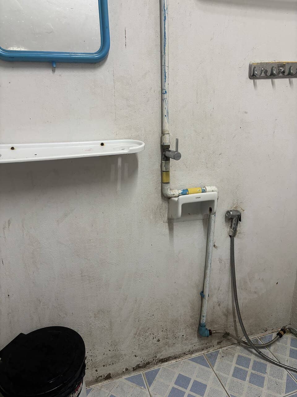 Abundant Marine Wildlife