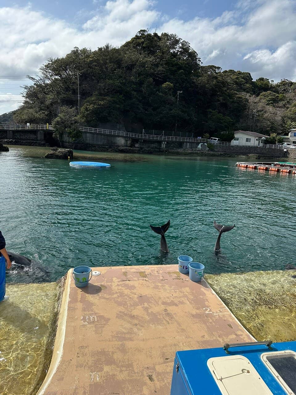 Pearl Picking & Jewelry Making