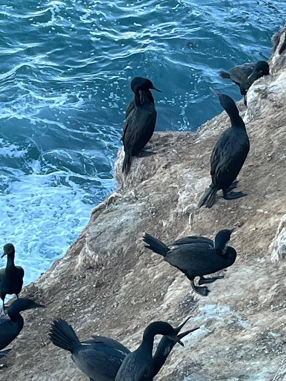 Crystal-Clear Waters