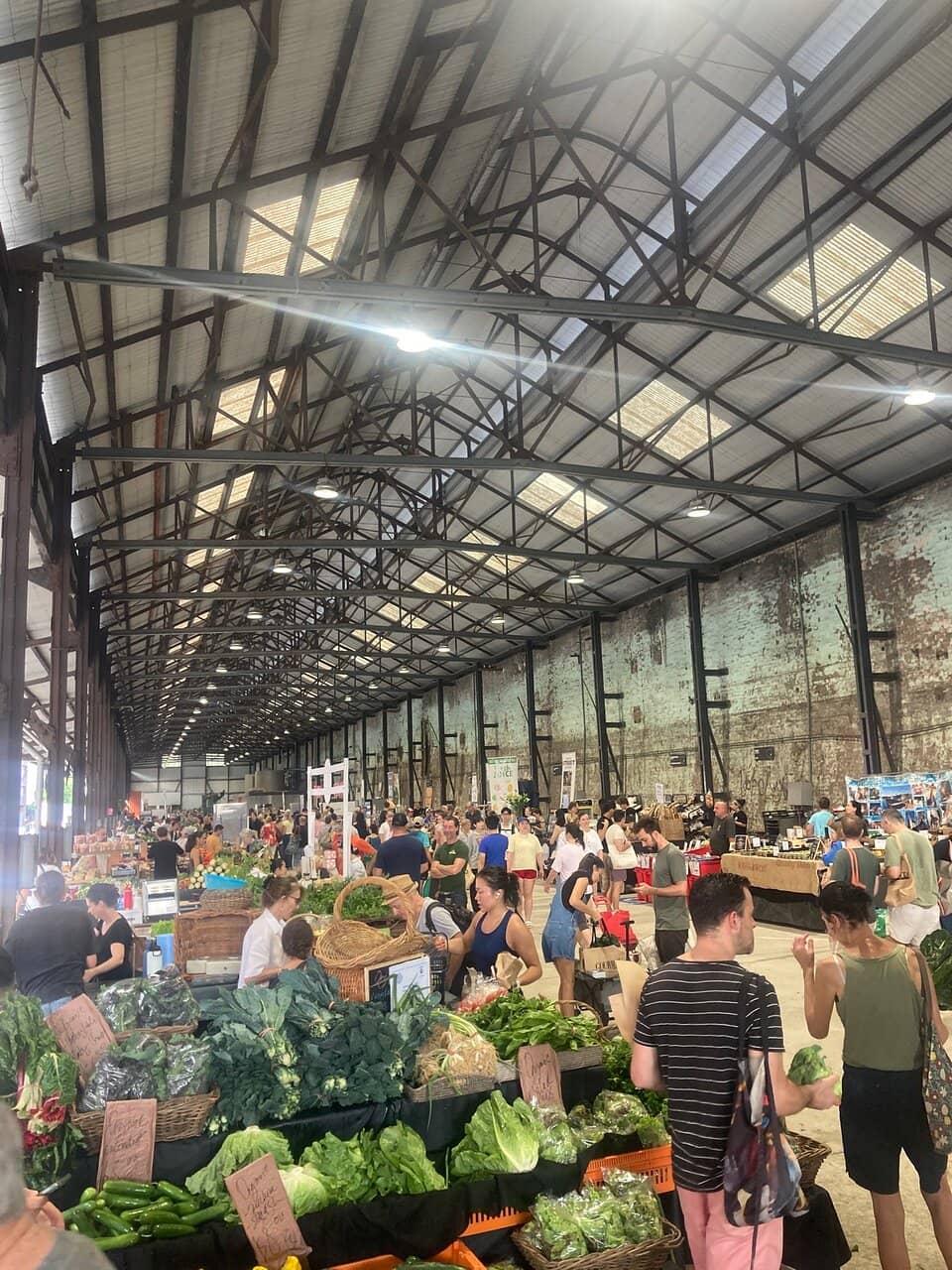 Live Theatre Performances