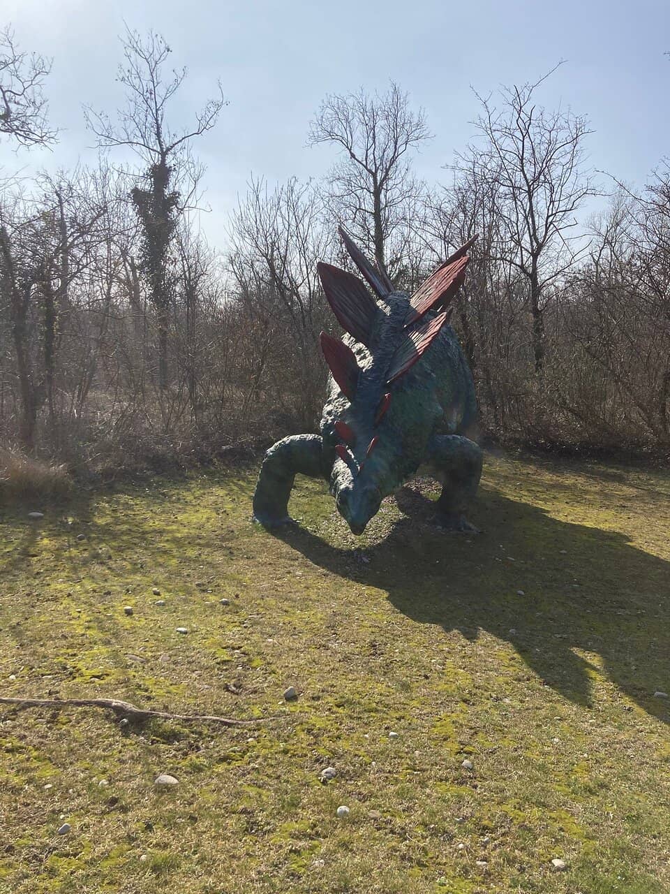 Live Animals in Semi-Freedom