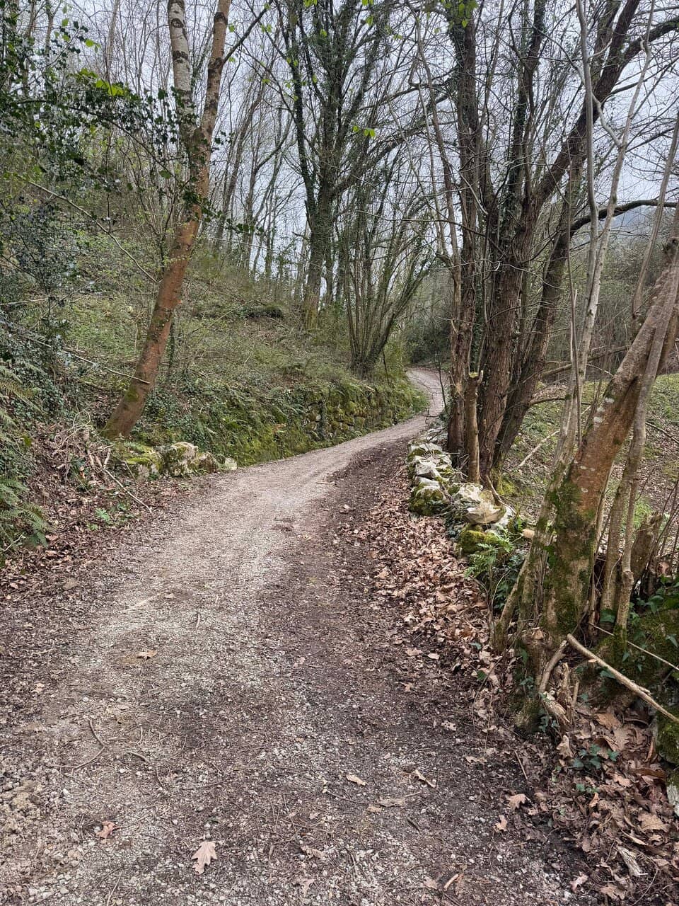 Paleolithic Paintings