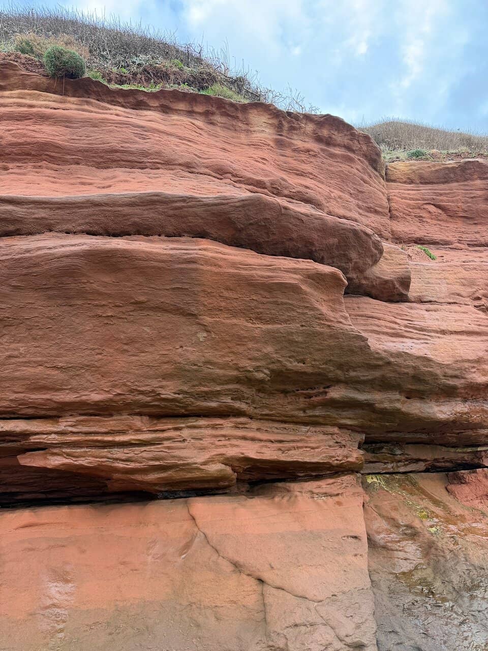 Rock Pool Exploration