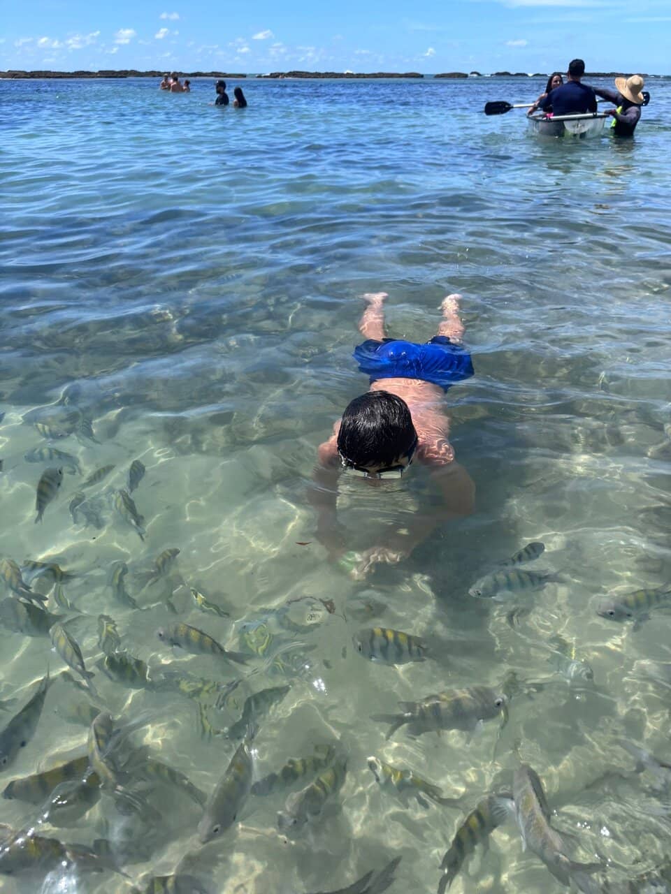 Natural Pools at Low Tide