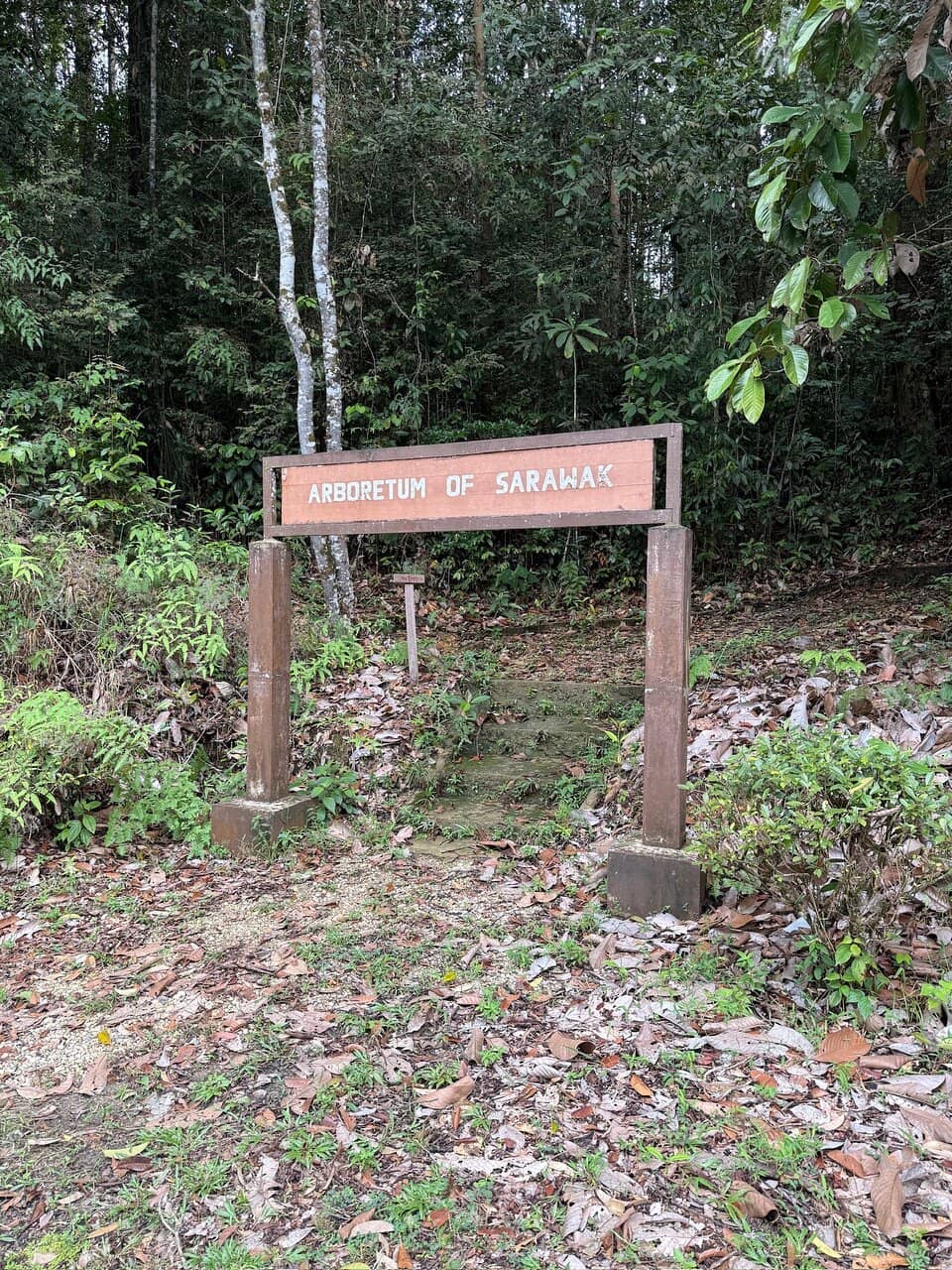 Rehabilitation Center Insights