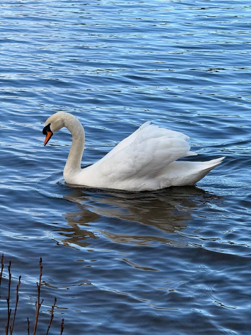 The 'Other Hogwarts Great Lake'