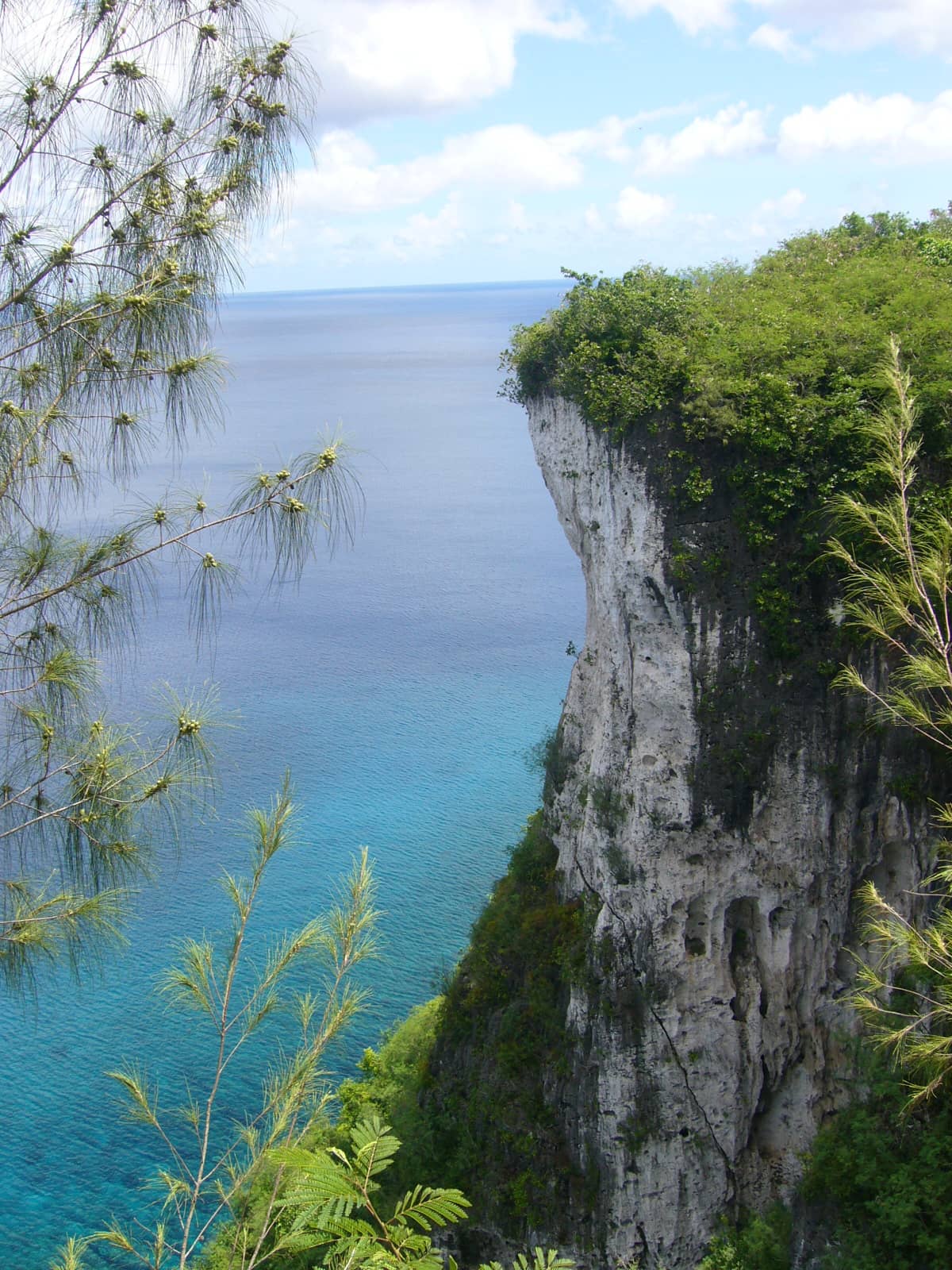 Love Locks of Devotion
