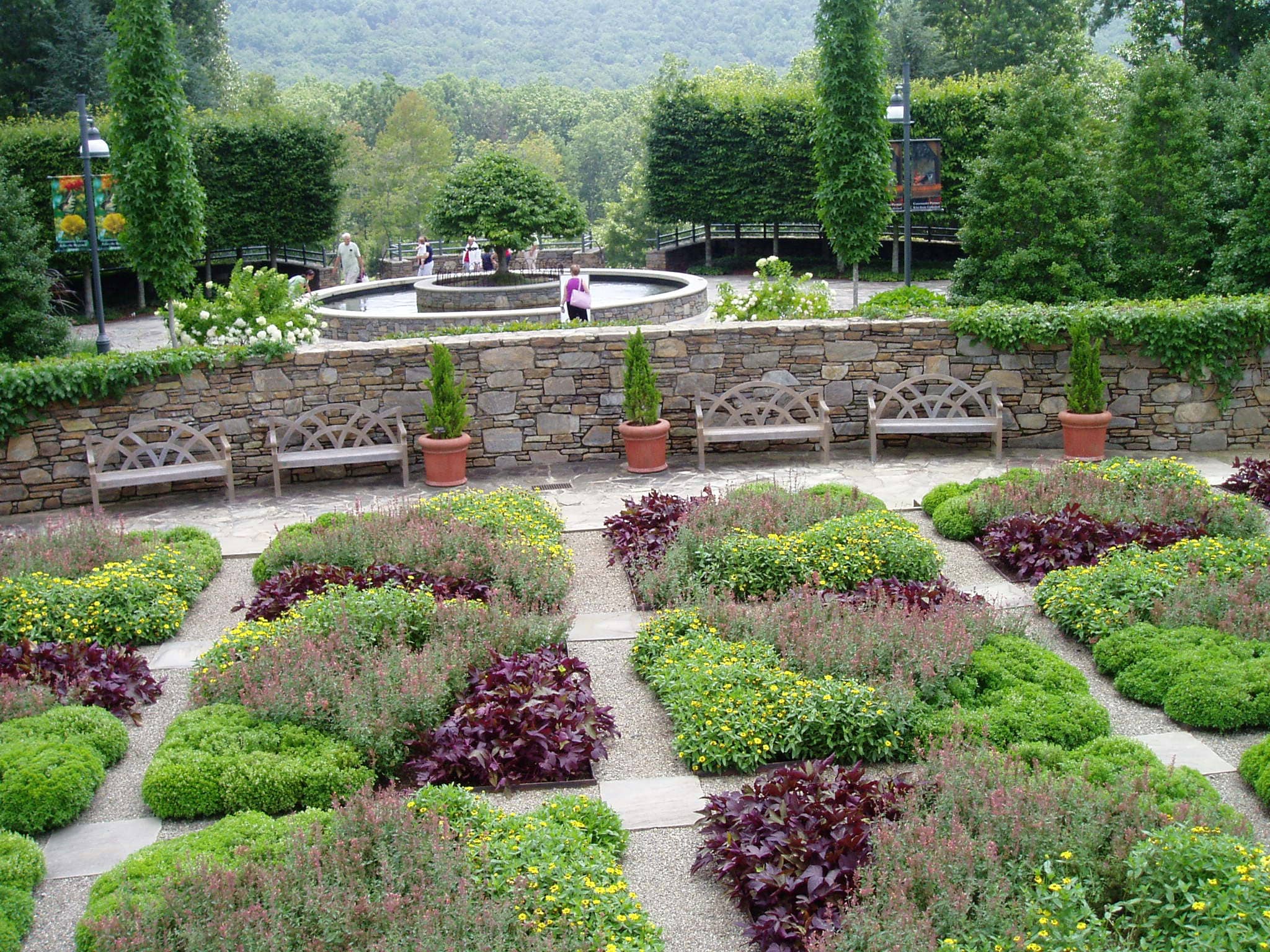 National Native Azalea Collection