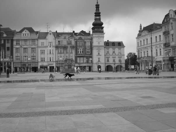 Ostrava's Café Culture