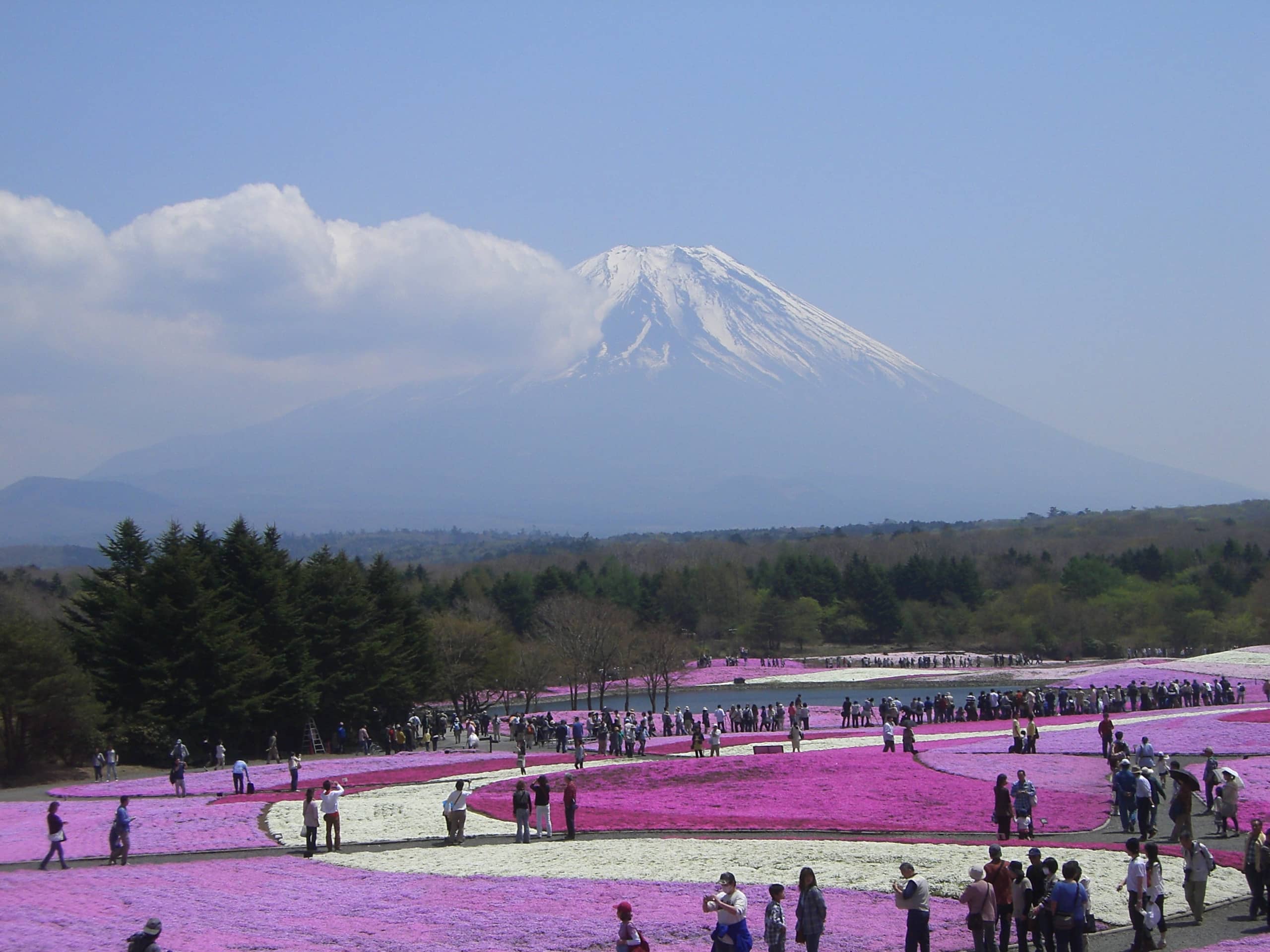Iconic Mount Fuji Reflection