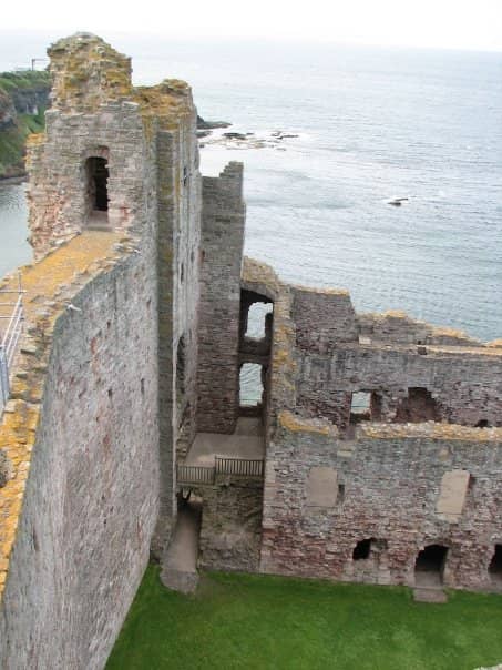 Replica Cannon Display