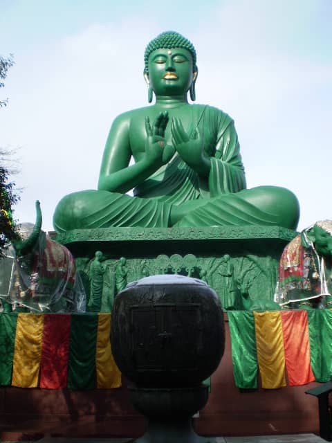 Tranquil Bamboo Grove