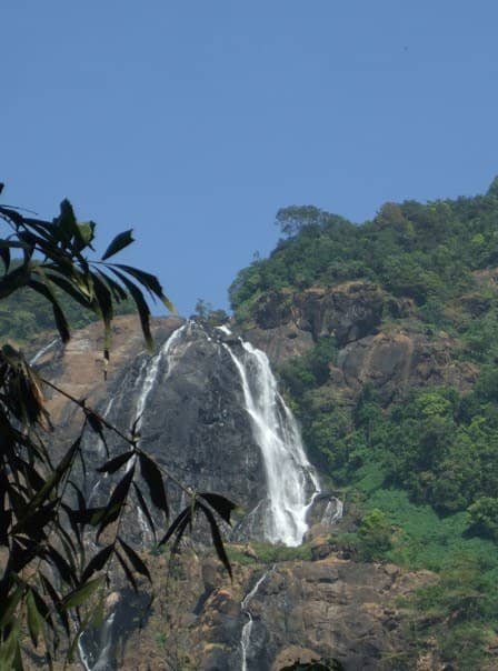 Vertical photo