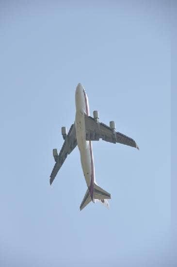 Tranquil Park Ambiance