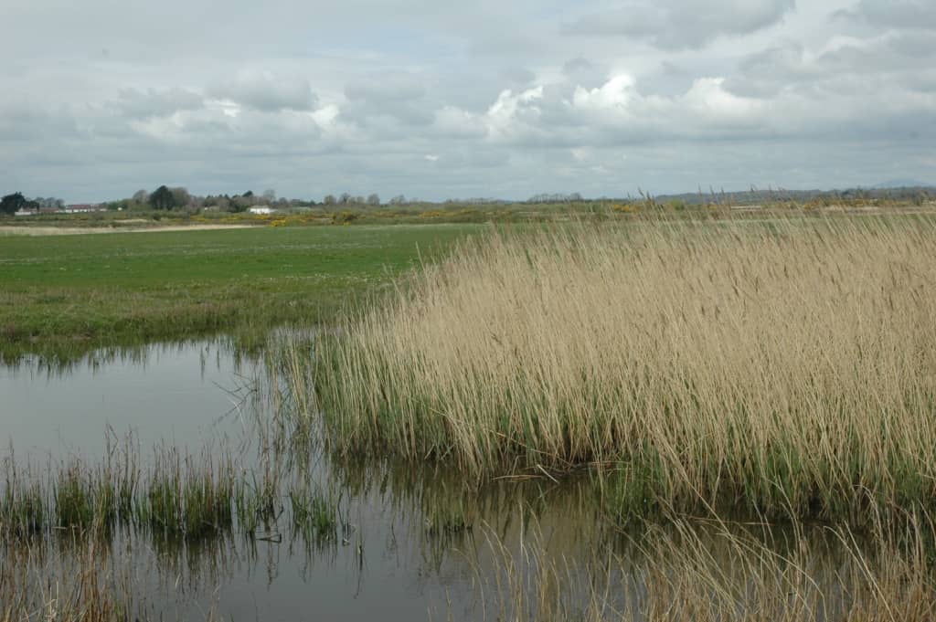 Observation Tower Hide