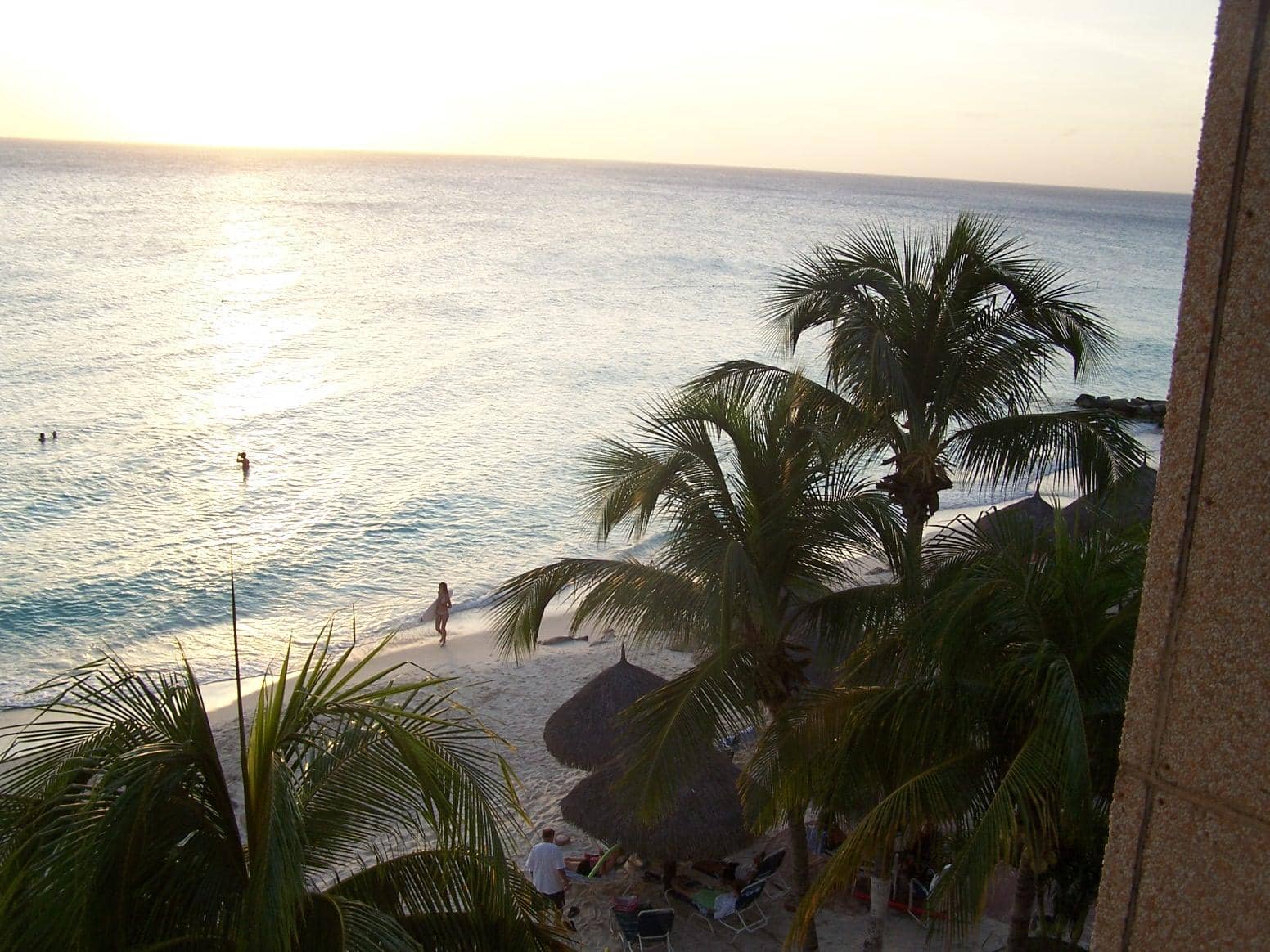 Signature Sushi Rolls