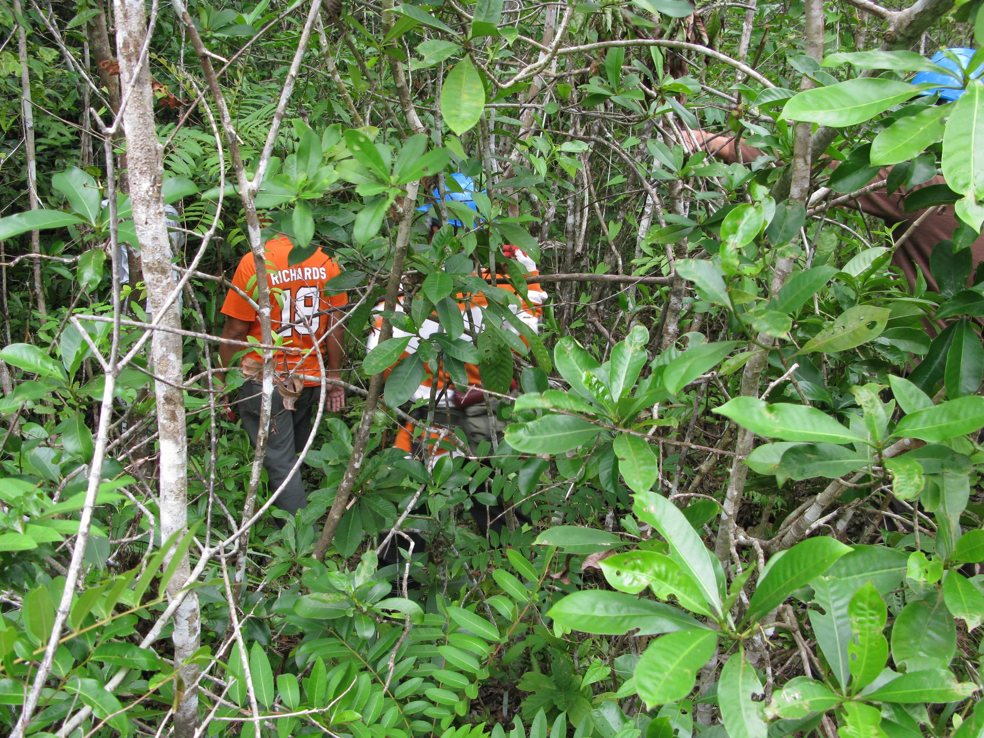 Religious Relics Museum