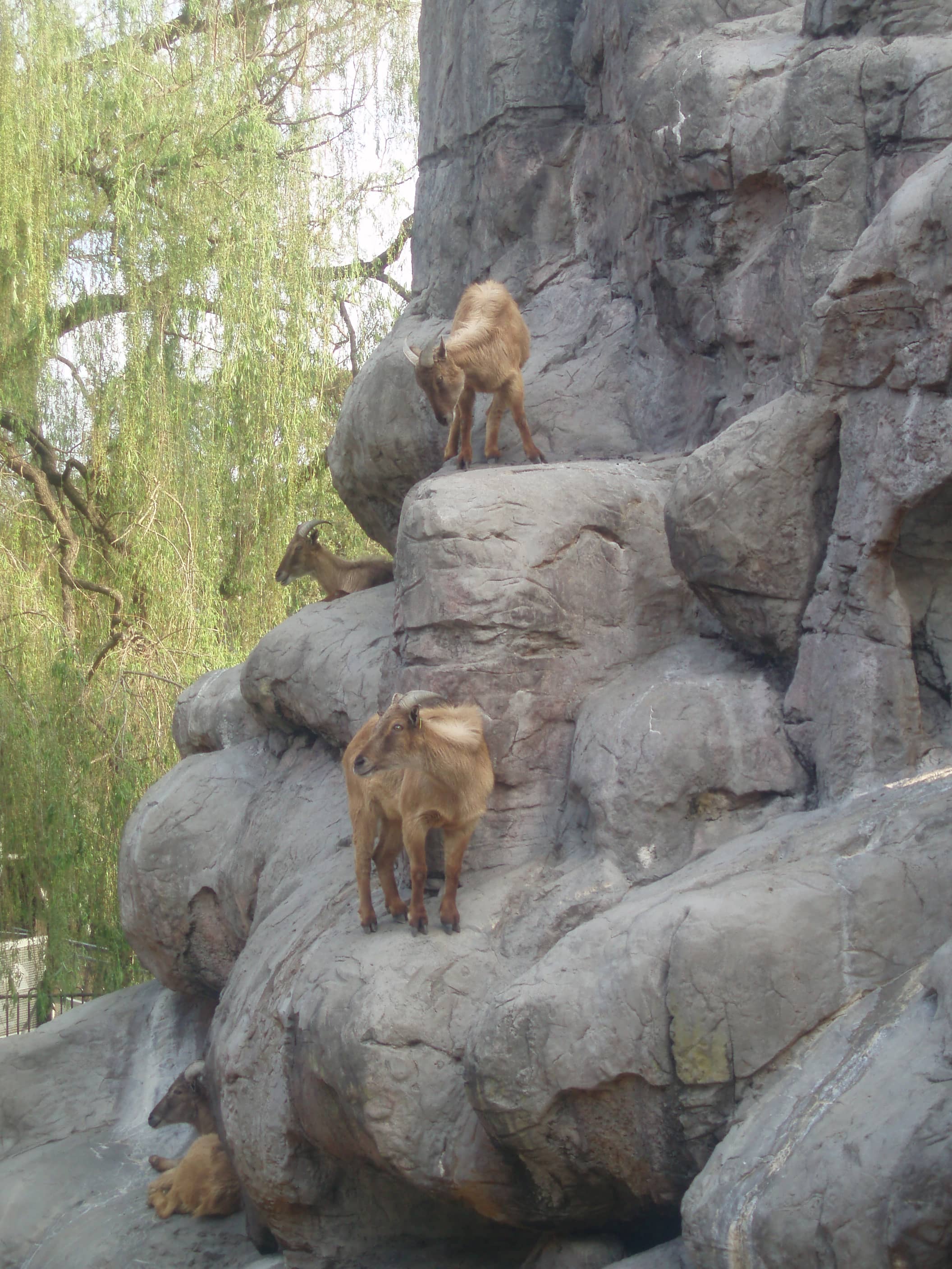 Nocturnal Wildlife Retreat