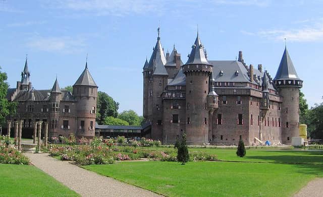 Deer Spotting in the Park